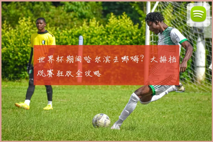 世界杯期间哈尔滨去哪嗨？大排档观赛狂欢全攻略