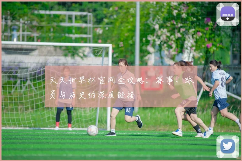 天天世界杯官网全攻略：赛事、球员与历史的深度链接