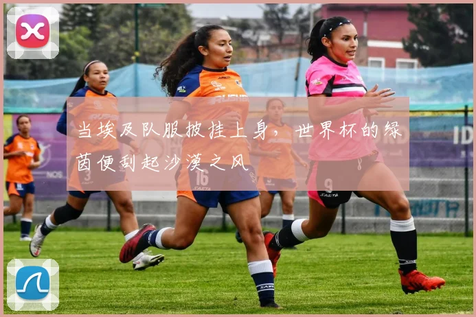 当埃及队服披挂上身，世界杯的绿茵便刮起沙漠之风