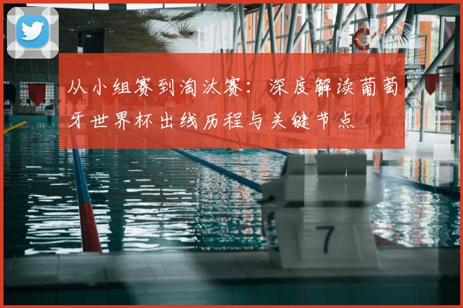 从小组赛到淘汰赛:深度解读葡萄牙世界杯出线历程与关键节点